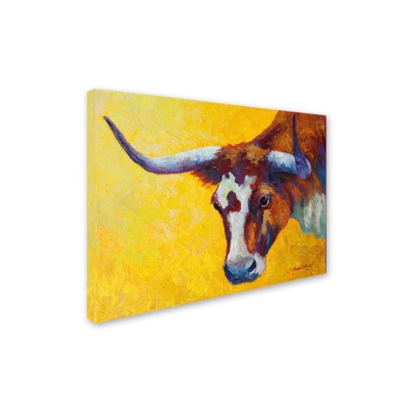 Marion Rose 'Longhorn Cow Study' Canvas Art,35x47